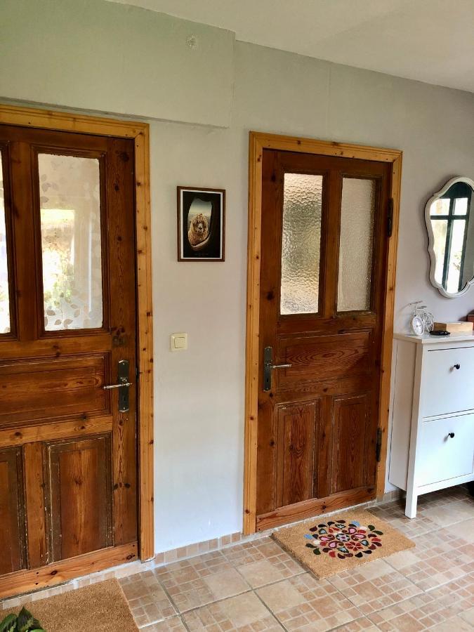 Gemuetliches Studio-Apartment In Ostseenaehe - Cosy Wulfi Probsteierhagen Dış mekan fotoğraf