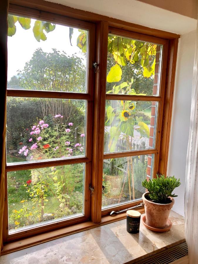 Gemuetliches Studio-Apartment In Ostseenaehe - Cosy Wulfi Probsteierhagen Dış mekan fotoğraf